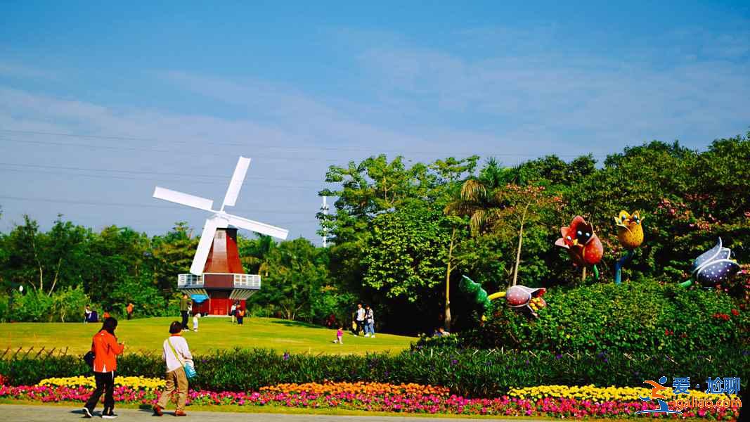 深圳新晉網(wǎng)紅景點(diǎn)打卡，深圳網(wǎng)紅景點(diǎn)一日游，深圳一日游網(wǎng)紅景點(diǎn)攻略？