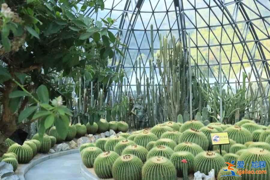 深圳帶孩子去哪玩合適，深圳親子游好去處，深圳親子游攻略？