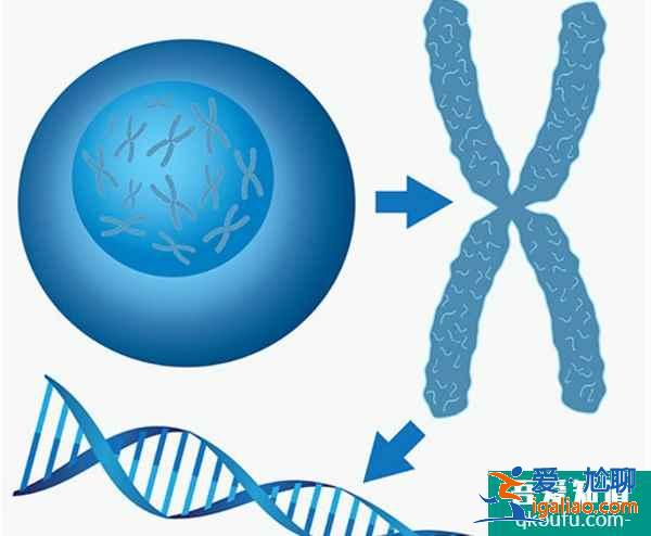 巧克力囊腫去做試管嬰兒的可行性分析？