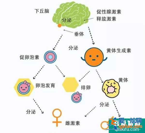 年輕女性做試管嬰兒，心理狀態(tài)是成敗的關(guān)鍵！？