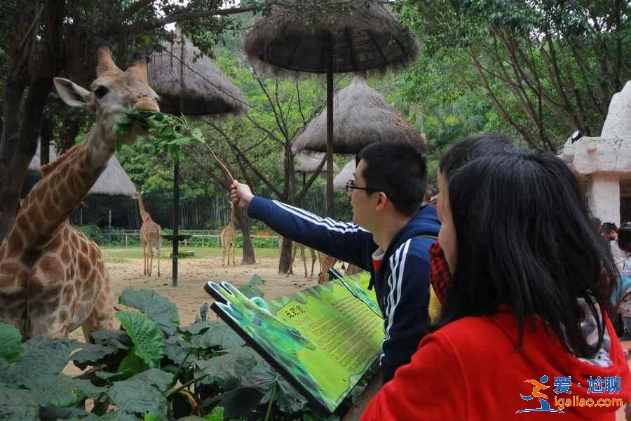 出發(fā)廣州長(zhǎng)隆旅游度假區(qū)前需要注意什么，廣州長(zhǎng)隆旅游度假區(qū)行前指南？