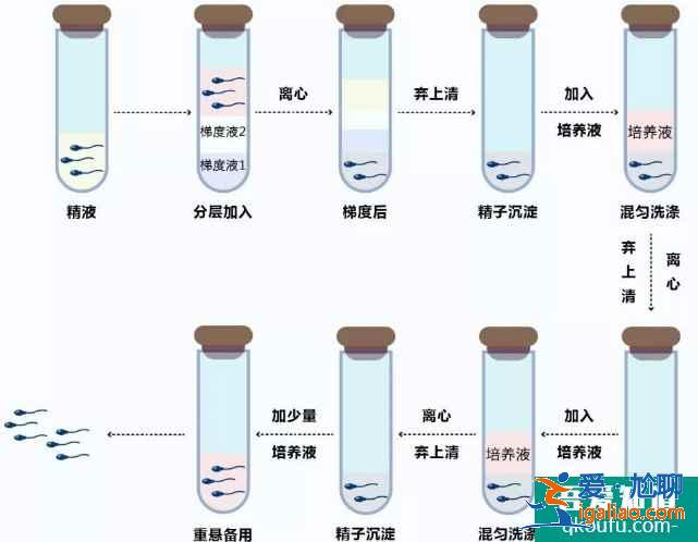 年輕女性做試管嬰兒，心理狀態(tài)是成敗的關(guān)鍵??？