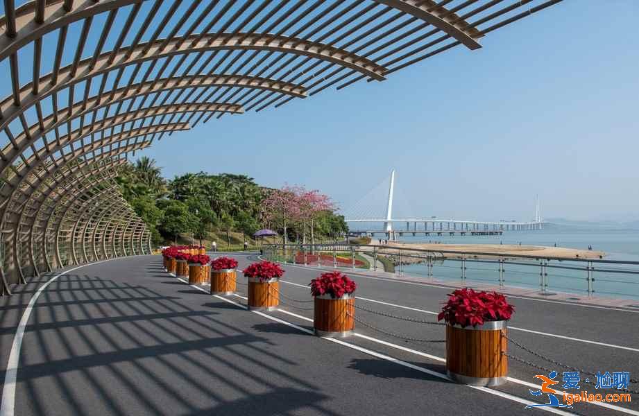 深圳徒步好去處，深圳徒步一日游玩法，深圳徒步當(dāng)天來回？