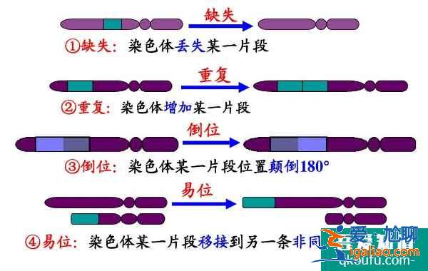 科普染色體異常的種類，第三代試管嬰兒為后代的健康把關(guān)？