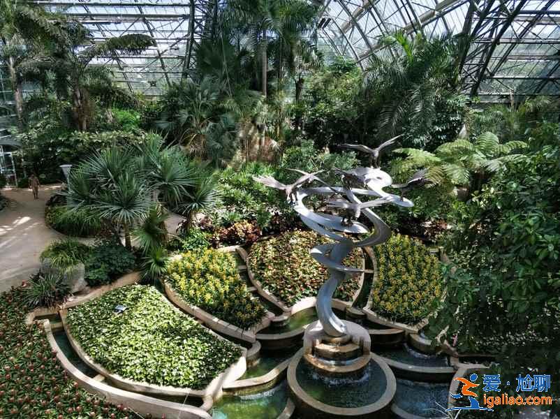 重慶親子游好去處，重慶親子游攻略，重慶親子游景點(diǎn)？
