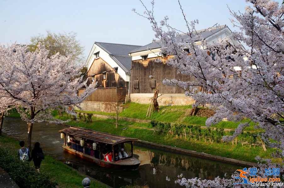 京都伏見一日游怎么玩？京都伏見一日游怎么安排？京都伏見一日游攻略？