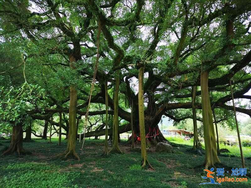 陽(yáng)朔兩日游怎么玩，陽(yáng)朔兩日游路線安排，陽(yáng)朔兩日游玩攻略？