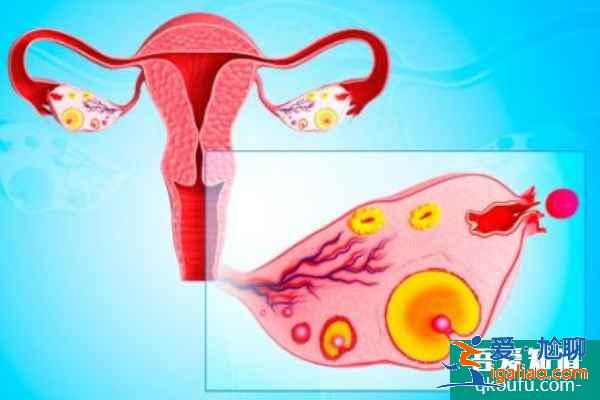 女性患有高血壓，赴美做試管嬰兒如何實(shí)現(xiàn)好孕優(yōu)生？？