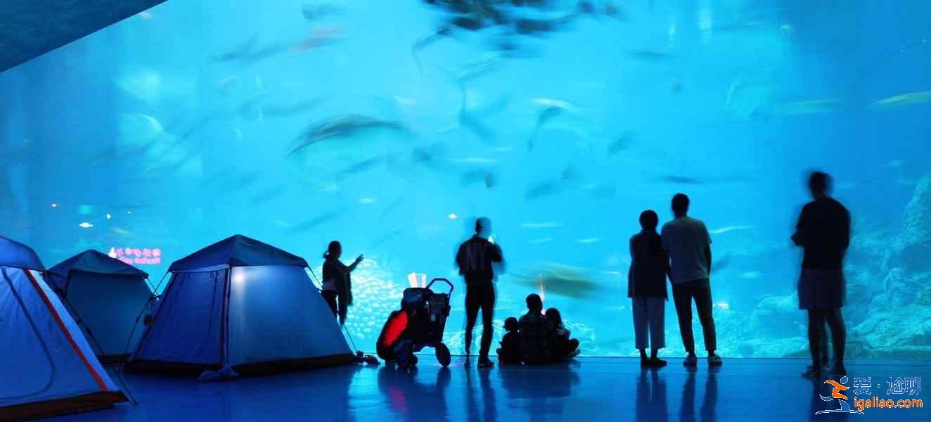 珠海長隆鯨鯊館夜宿攻略，珠海長隆鯨鯊館夜宿需要注意什么？