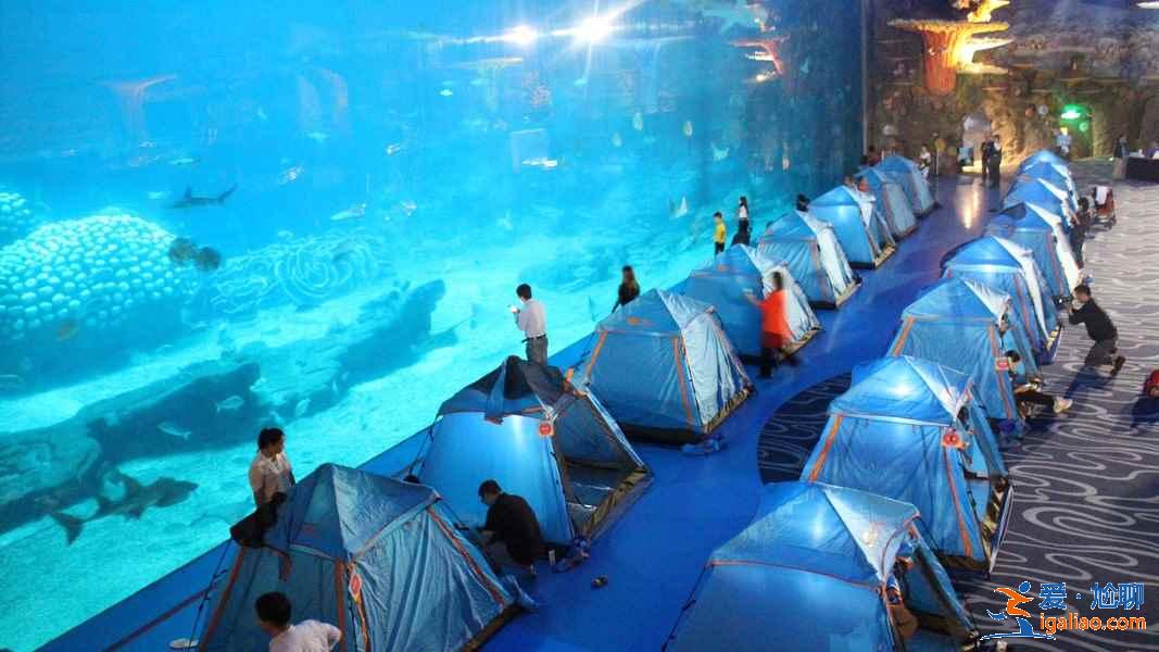 珠海長隆鯨鯊館夜宿攻略，珠海長隆鯨鯊館夜宿需要注意什么？