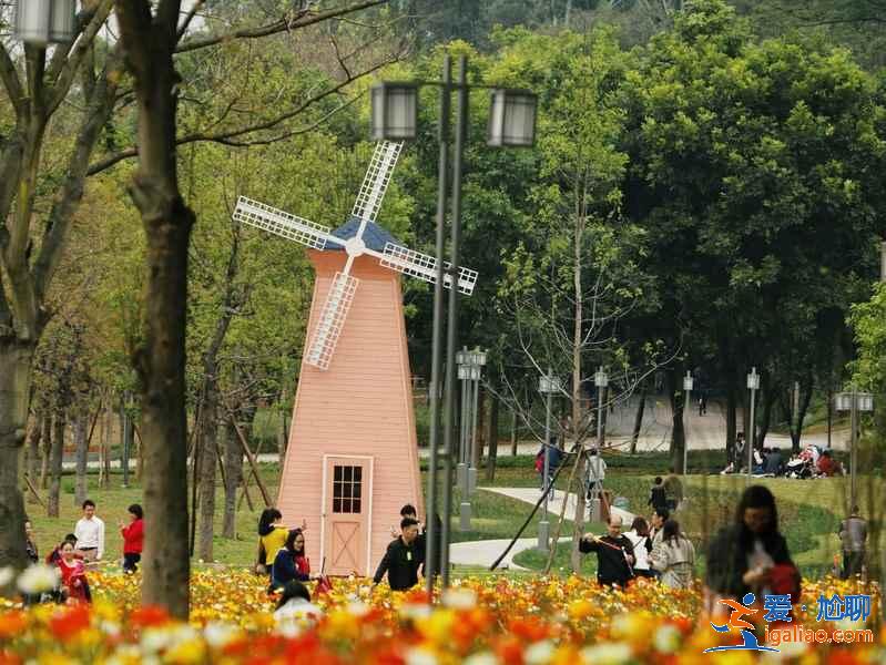 佛山一日游可以去哪玩，佛山一日游景點推薦，佛山一日游玩攻略？