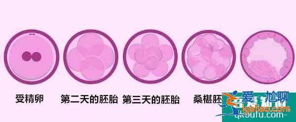 大齡女性去做試管嬰兒的注意事項(xiàng)有哪些？如何實(shí)現(xiàn)好孕？？