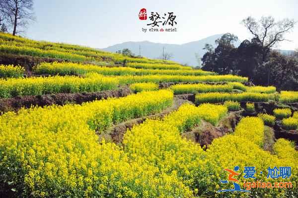 五一去江西哪里玩好，五一江西哪個(gè)城市好玩？