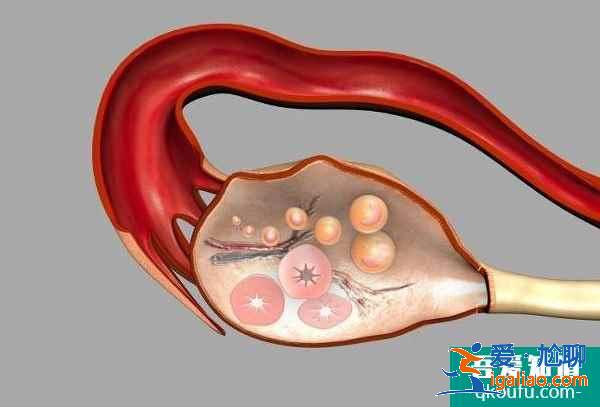 試管嬰兒促排卵與乳腺癌之間到底有沒有關(guān)系？？