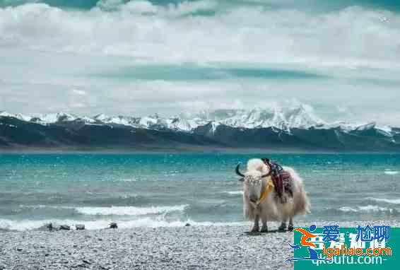 冬天旅游推薦地 冬天應(yīng)該去哪些地方旅游呢？
