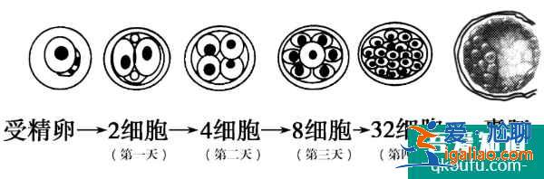 導(dǎo)致女性不孕的原因有哪些？泰國(guó)試管嬰兒如何解決？？