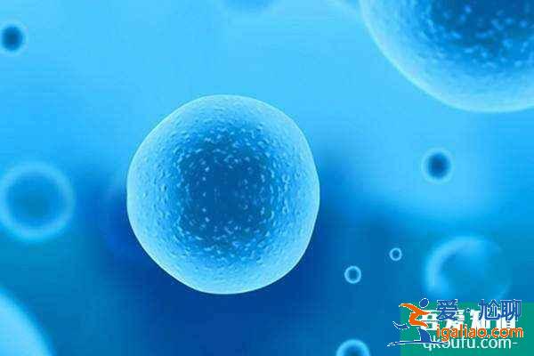 無(wú)精癥做試管嬰兒大概費(fèi)用是多少呢？趕緊看看？