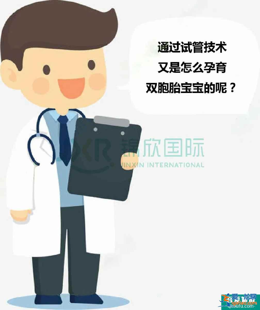 試管專家告訴你：如何懷雙胞胎，你懷雙胎的幾率高嗎？？