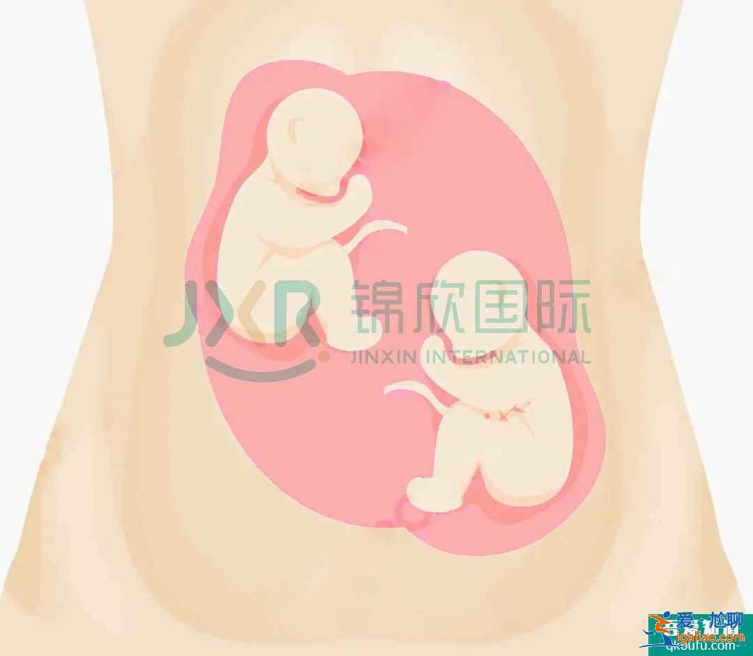試管專家告訴你：如何懷雙胞胎，你懷雙胎的幾率高嗎？？