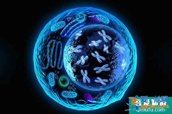 國人選擇試管嬰兒，其原因可總結為以下5點？