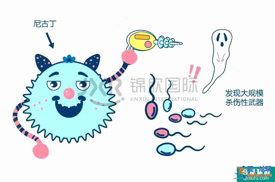 試管嬰兒專(zhuān)家告訴您：五一小長(zhǎng)假如何調(diào)理子宮內(nèi)環(huán)境?？