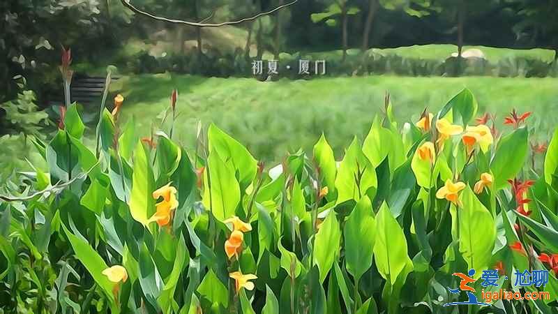 【廈門中秋節(jié)哪里好玩】2018中秋節(jié)去廈門哪里玩，中秋節(jié)去廈門怎么玩？