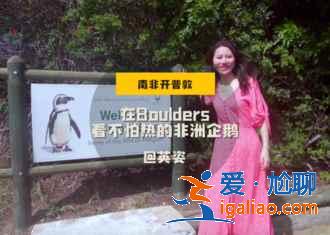 南非自由行,領略大自然的狂野? 南非自由行,領略大自然的狂野?