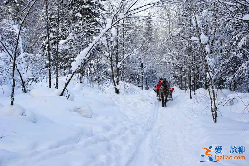 國內(nèi)1月下雪的地方，國內(nèi)一月有雪的地方？