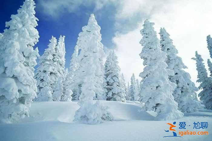 國內(nèi)1月下雪的地方，國內(nèi)一月有雪的地方？