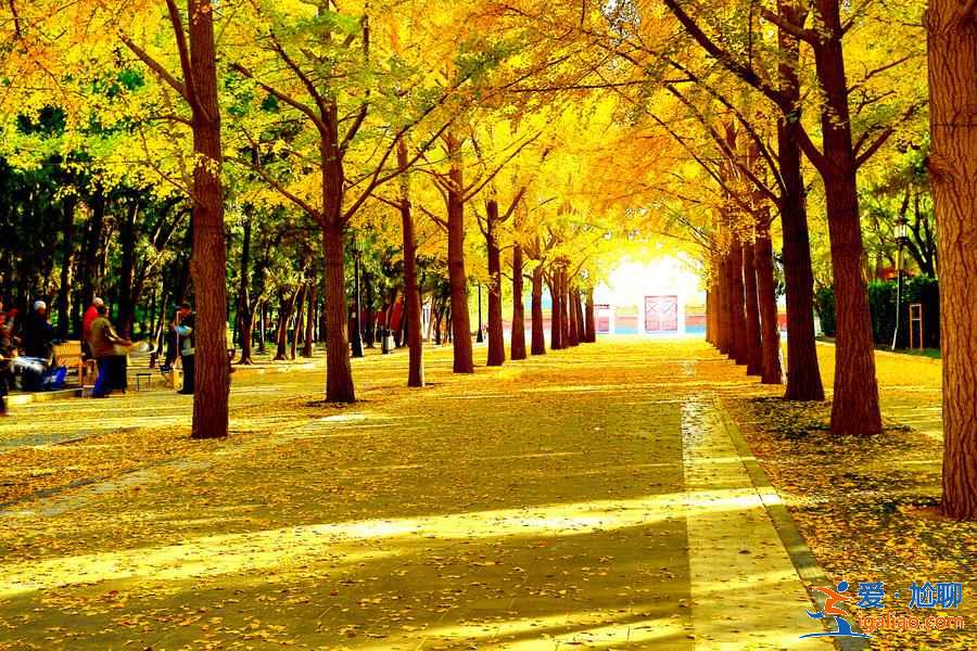 10月11月適合去哪里旅游，深秋去哪旅游最好？
