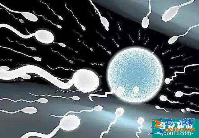 第二代試管嬰兒全過程要多久？費用多少？？