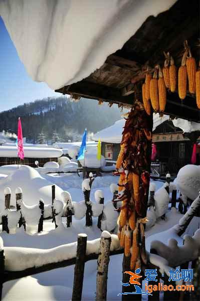 【雪鄉(xiāng)天氣1、2月天氣預(yù)報(bào)】雪鄉(xiāng)天氣冬季多少度，雪鄉(xiāng)天氣預(yù)報(bào)？