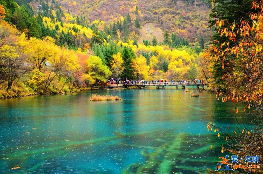 10月11月適合去哪里旅游，深秋去哪旅游最好？