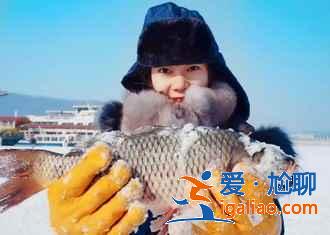 【年底去哪里旅游比較好】年底適合去哪里旅游，年底去哪里旅游好？