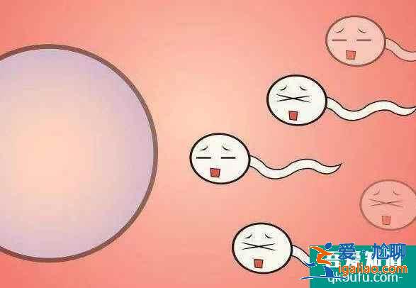做試管嬰兒前我們需要注意什么？試管過(guò)程哪些是不能做的？？