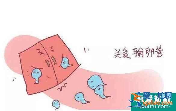 輸卵管積水還能做試管嬰兒嗎？是否會對試管成功率有影響？？