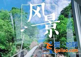 黃山十一天氣,2018十一國慶去黃山穿什么,黃山天氣預(yù)測? 黃山十一天氣,2018十一國慶去黃山穿什么,黃山天氣預(yù)測?
