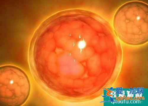 俄羅斯試管嬰兒需要做哪些檢查,資料表明：女性抽煙會影響生育能力？