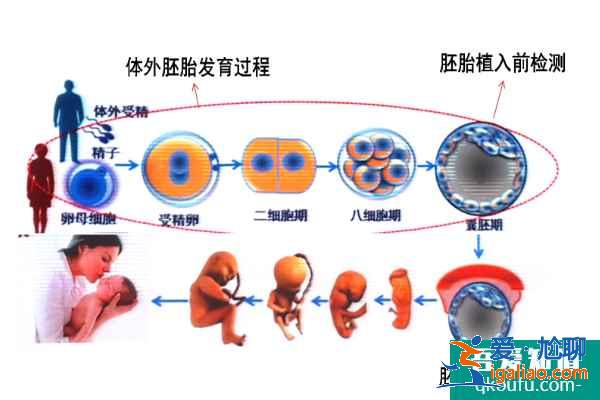 試管嬰兒專家解答：大齡女性如何規(guī)避胎停/流產(chǎn)風(fēng)險？？