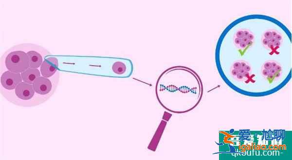 試管嬰兒專家：從4個方面確保IVF的安全性？