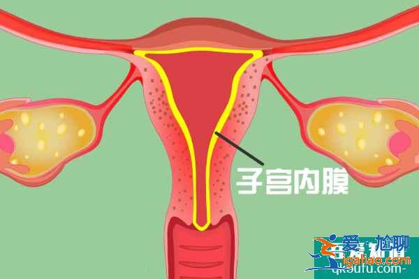 女性宮腔積水做試管嬰兒的成功率有多高？？
