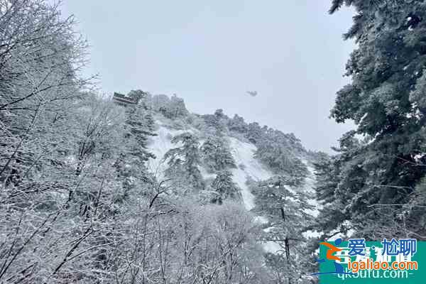 中國(guó)冬天哪里最美 這19個(gè)地方能體會(huì)真正的冬季美景？
