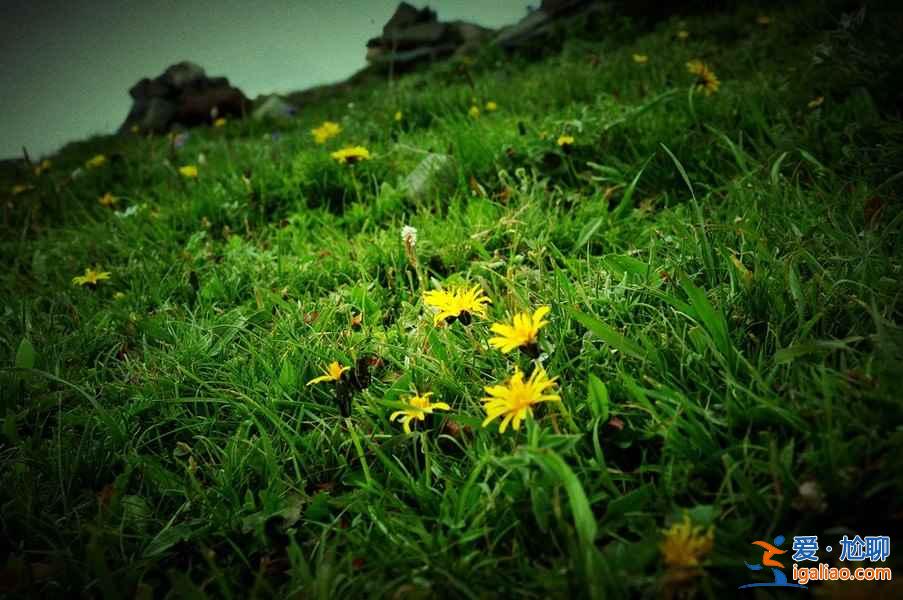 2018五臺山國慶十一天氣預(yù)報,2018五臺山國慶十一天氣怎么樣? 2018五臺山國慶十一天氣預(yù)報,2018五臺山國慶十一天氣怎么樣?