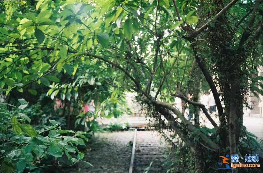 【廣州國慶5日游】國慶節(jié)去廣州哪里玩，廣州國慶節(jié)有什么好玩的地方？