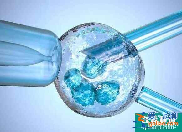 供卵試管嬰兒和常規(guī)試管嬰兒的區(qū)別在哪里？需要注意什么？？