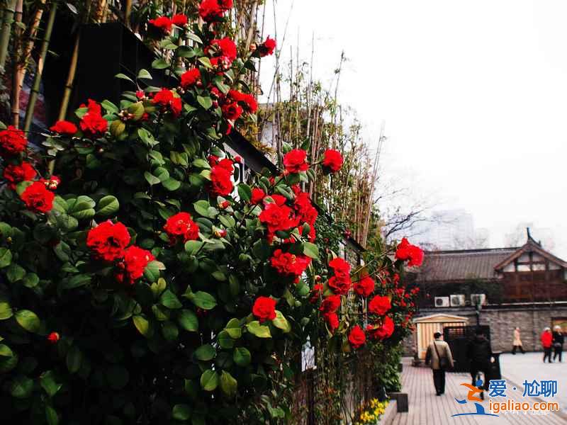 2018四川國慶節(jié)旅游景點推薦，四川國慶節(jié)去哪玩？