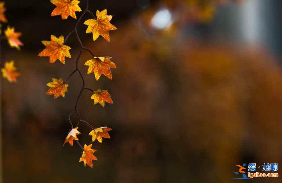 天津十一天氣，10.1天津天氣預(yù)測，2018天津國慶天氣？