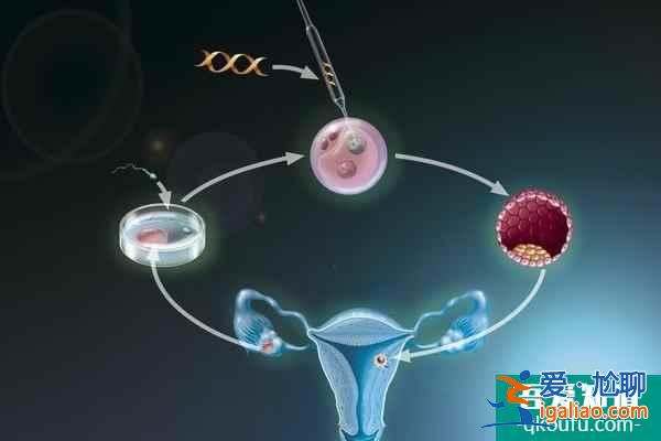 去做試管嬰兒：做好赴美前的準備工作和IVF方案制定？