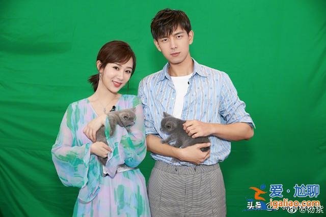 于正評今夏三爆，肖戰(zhàn)演技好王一博年輕，楊紫參演男演員就不用演