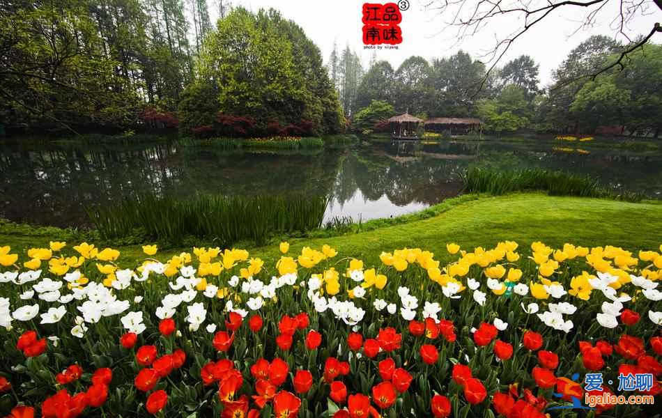 國慶去額濟(jì)納人多嗎,2018十一額濟(jì)納住宿貴嗎? 國慶去額濟(jì)納人多嗎,2018十一額濟(jì)納住宿貴嗎?